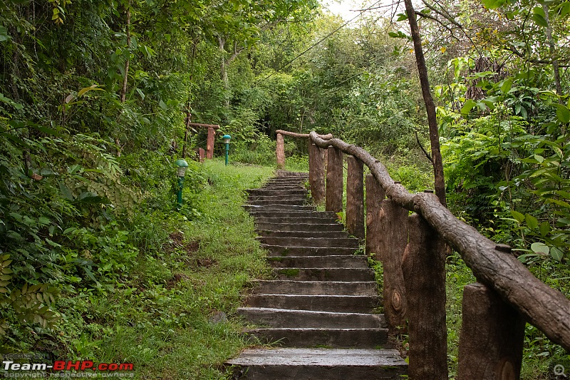 Monsoon Drive to Bhadra Tiger Reserve - A Photologue-dsc_4273.jpg