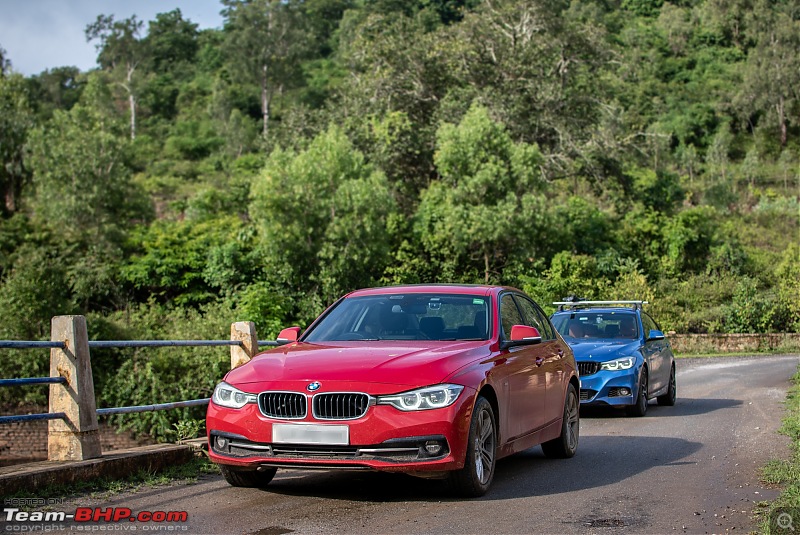 Monsoon Drive to Bhadra Tiger Reserve - A Photologue-dsc_4310.jpg