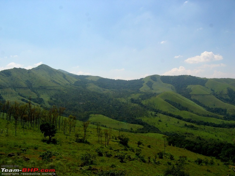 Swifted : Bisle, Belur, Halebid, Chikmagalur, Kemmangundi-img_0157.jpg