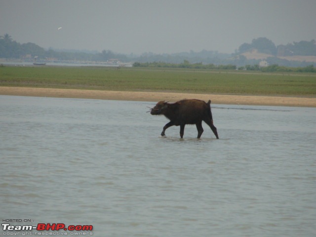 Puri and Chilka from Kolkata - Rediscovering coastal Orissa-dsc03155.jpg