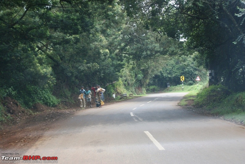 An incredible road trip to Velankanni, Kodaikanal and Ooty-d-highway-kotagiri.jpg