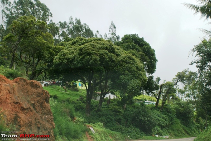 An incredible road trip to Velankanni, Kodaikanal and Ooty-e-highway-kotagiri.jpg