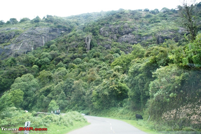 An incredible road trip to Velankanni, Kodaikanal and Ooty-k-highway-kotagiri.jpg