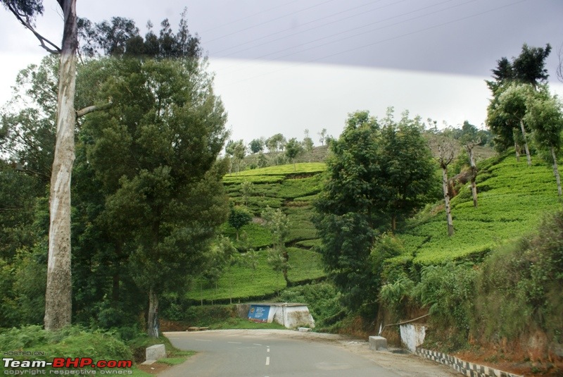 An incredible road trip to Velankanni, Kodaikanal and Ooty-v-highway-kotagiri.jpg