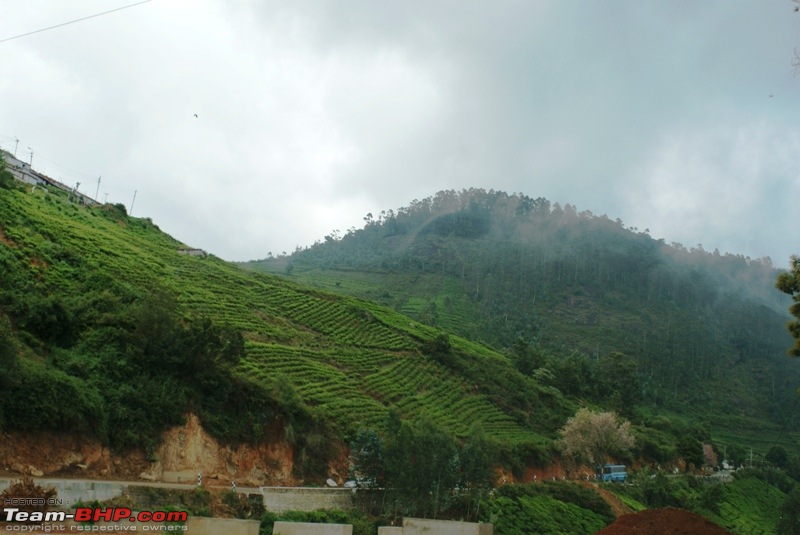 An incredible road trip to Velankanni, Kodaikanal and Ooty-z-highway-kotagiri.jpg