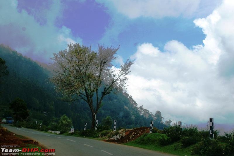 An incredible road trip to Velankanni, Kodaikanal and Ooty-highway-kotagiri.jpg