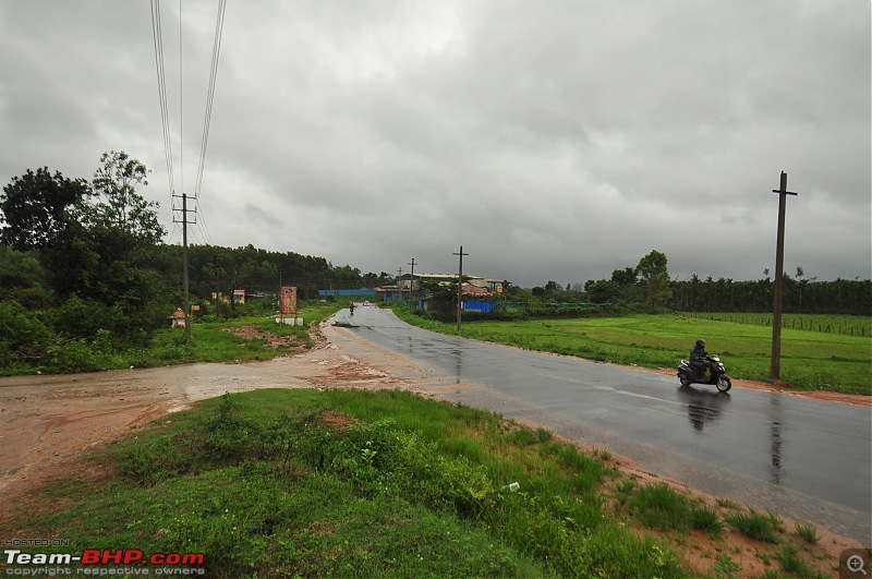 Monsoon Drive to Bhadra Tiger Reserve - A Photologue-dsc_0007.jpg