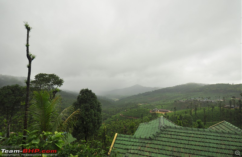 Monsoon Drive to Bhadra Tiger Reserve - A Photologue-dsc_0044.jpg