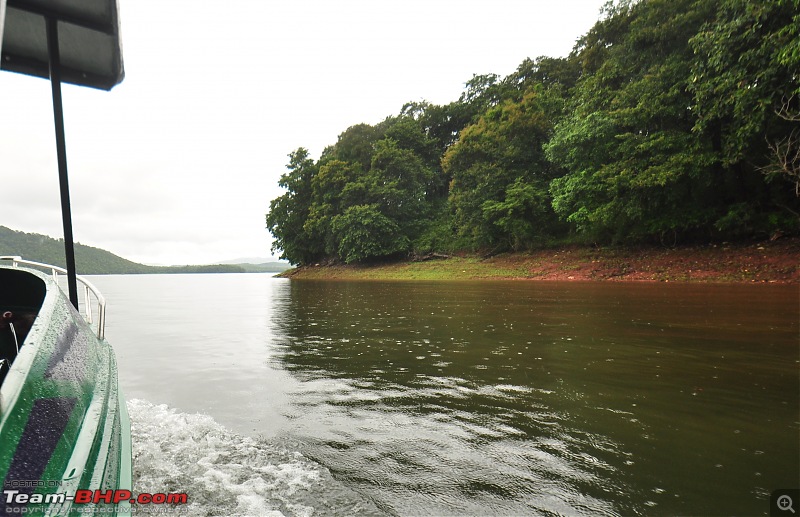 Monsoon Drive to Bhadra Tiger Reserve - A Photologue-dsc_0131.jpg