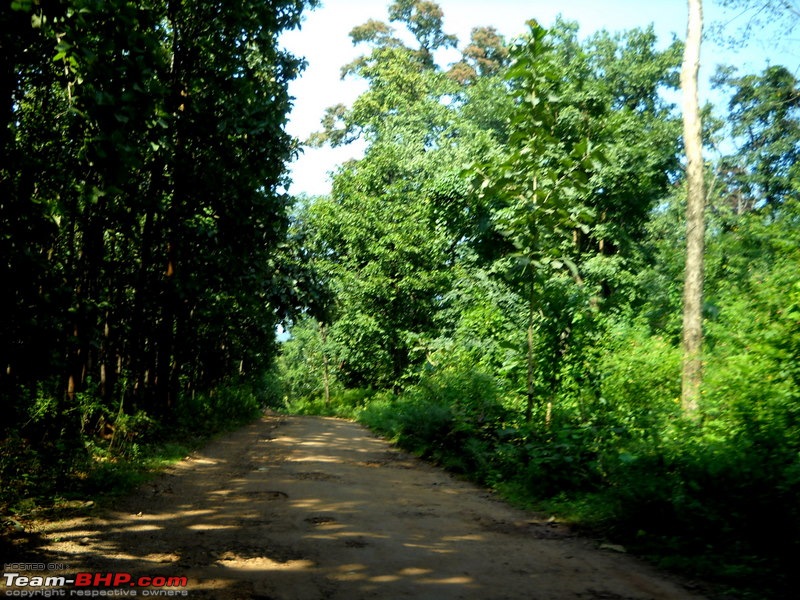 Swifted : Bisle, Belur, Halebid, Chikmagalur, Kemmangundi-dscn5545.jpg