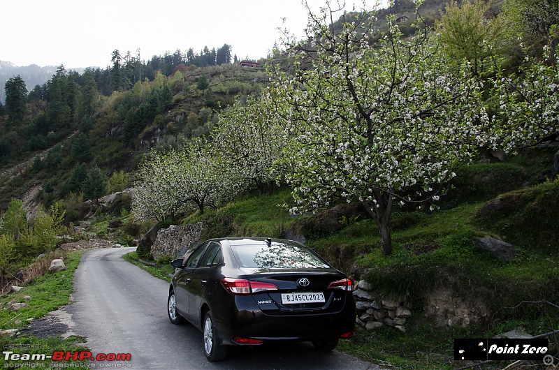 Two more passes added | Jalori Pass & Chanshal Pass (Himachal Pradesh) in a Toyota Yaris-tkd_3332.jpg