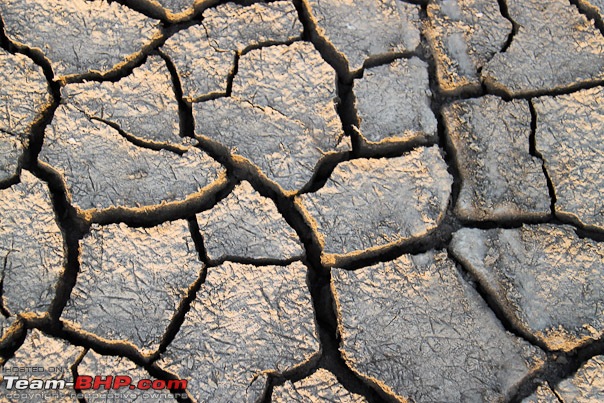 Kutch Kutch Hota Hai - Into Heart Of The Little Rann-cracks.jpg