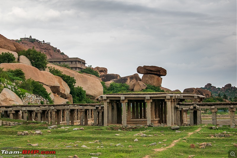 The Wild and Green Side of Hampi-dsc_5430.jpg