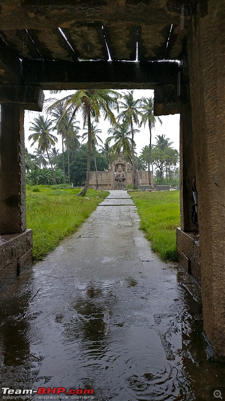 The Wild and Green Side of Hampi-img_20210820_171337.jpg