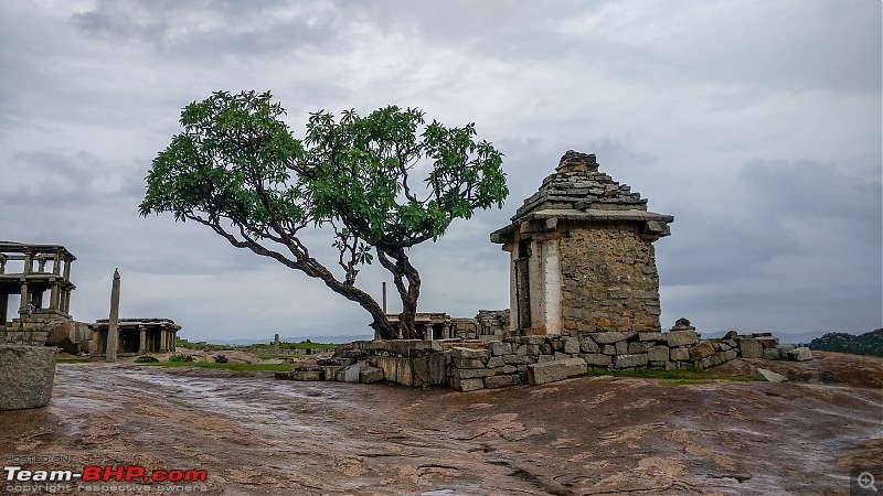 The Wild and Green Side of Hampi-img_20210820_175524.jpg