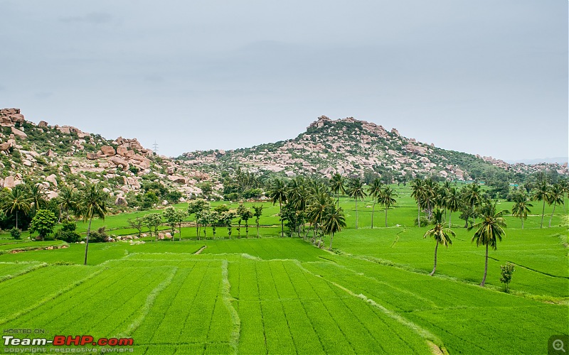 The Wild and Green Side of Hampi-dsc_5471-2.jpg