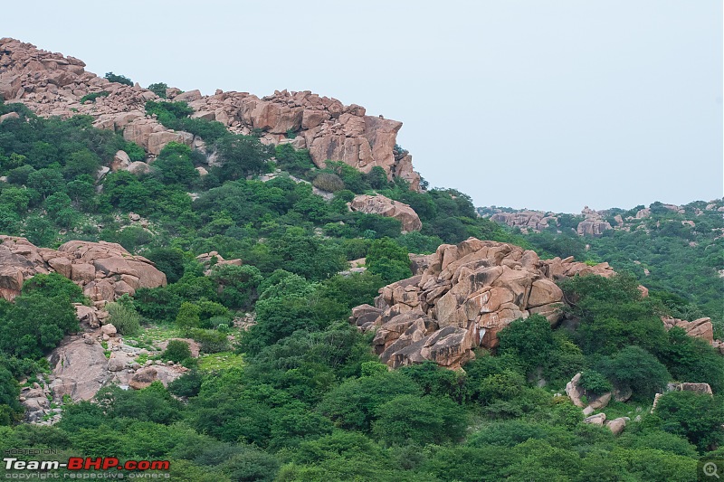 The Wild and Green Side of Hampi-dsc_5504.jpg