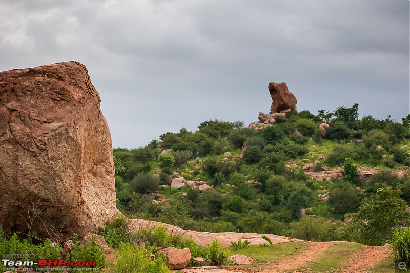 The Wild and Green Side of Hampi-dsc_5702.jpg