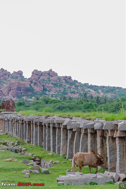 The Wild and Green Side of Hampi-05ruins.jpg