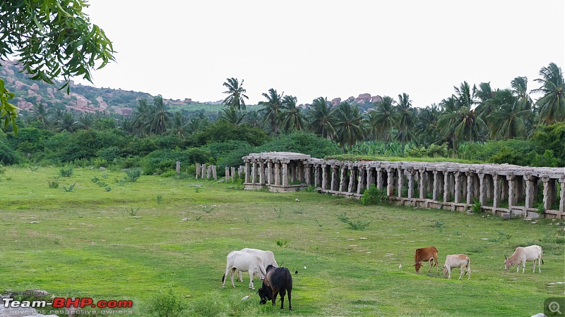The Wild and Green Side of Hampi-07ruins.jpg