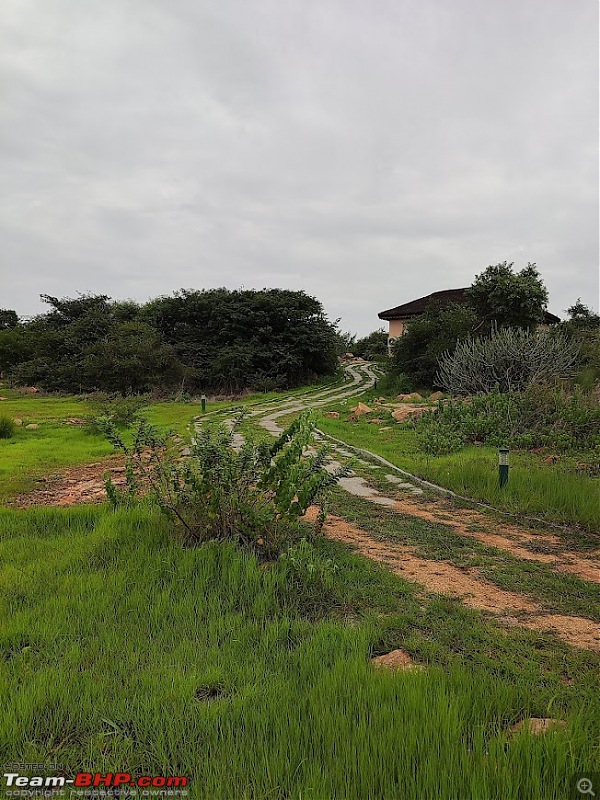 The Wild and Green Side of Hampi-img_20210816_083647.jpg