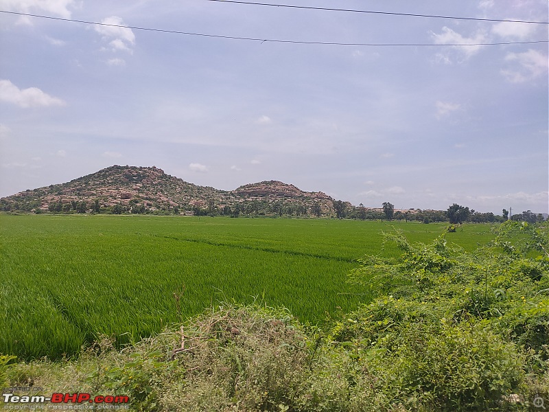 The Wild and Green Side of Hampi-img20210910114050.jpg