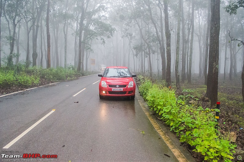 A Monsoonal Symphony in Netarhat-_dsc1932.jpg