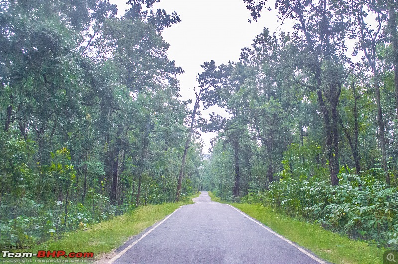 A Monsoonal Symphony in Netarhat-_dsc1939.jpg
