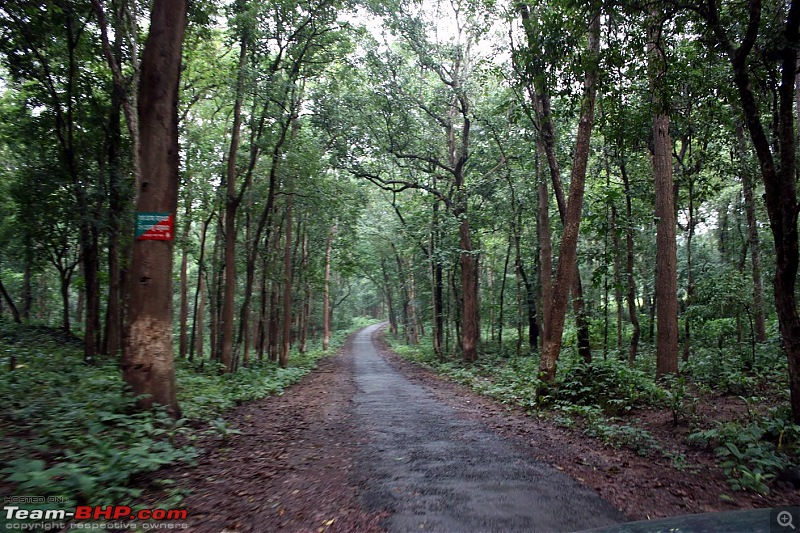 Safari Dicor VTT-TMT 2-yr Grand OT[Interior Chhattisgarh/Orissa-Tribals,Falls&Forest]-img_0073.jpg