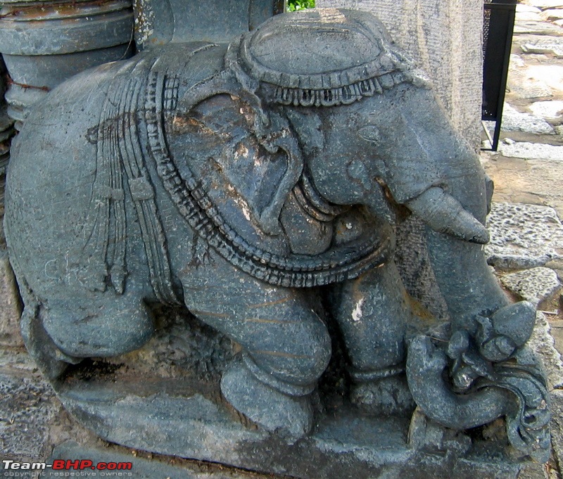 Swifted : Bisle, Belur, Halebid, Chikmagalur, Kemmangundi-img_0364.jpg