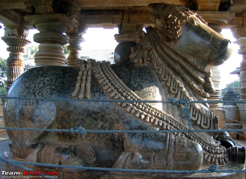 Swifted : Bisle, Belur, Halebid, Chikmagalur, Kemmangundi-img_0505.jpg