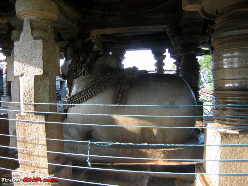 Swifted : Bisle, Belur, Halebid, Chikmagalur, Kemmangundi-img_0513.jpg