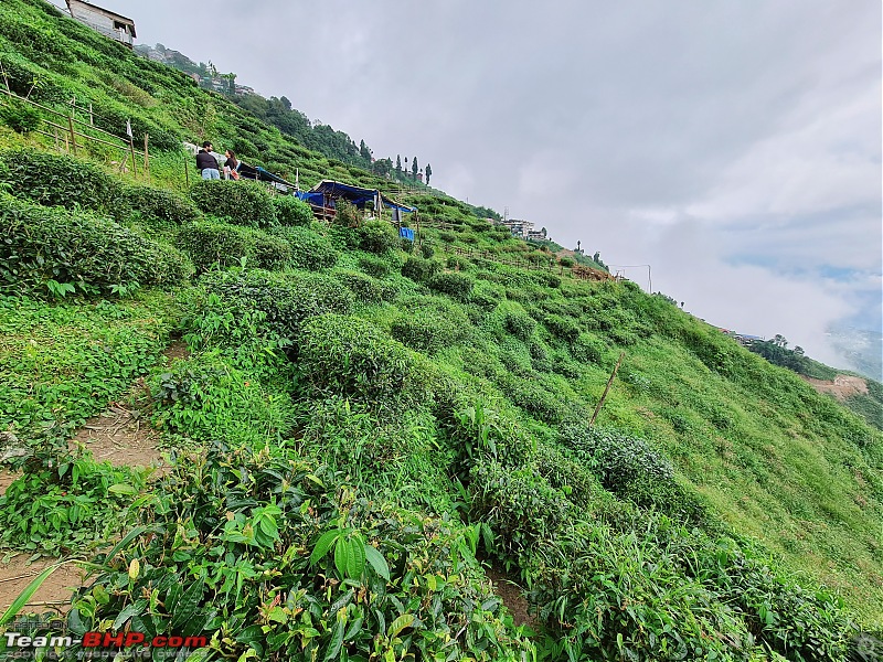 DiPuDa (Digha-Puri-Darjeeling) in 50 Days-20210901_150718.jpg