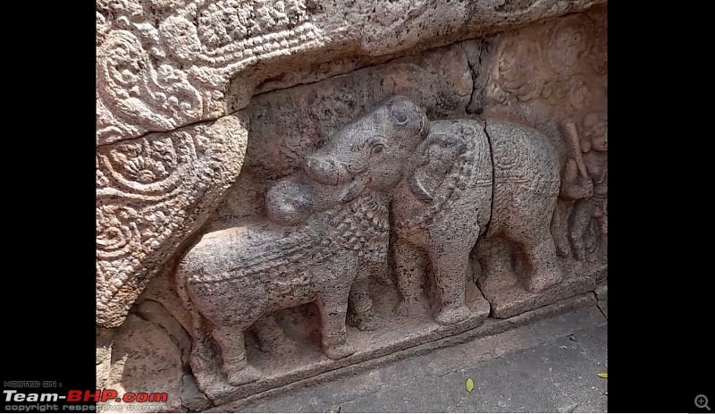 Baloo & I: Reset at an Ashram, and drive into the glorious past of the Chola empire-part5-pic36-elephant-bull-one-pic.jpg