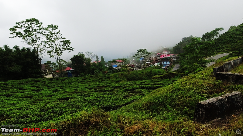 Mim village, Sukhia Pokhri : Nexon's maiden hill drive in search of a little forest-dji_0621phuguritea.png