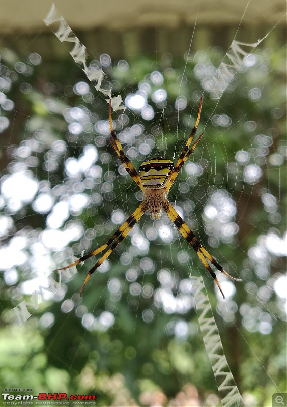 Wings of Desire  Exploring Odisha & Chhattisgarh in a Scorpio & Thar-spider.jpg