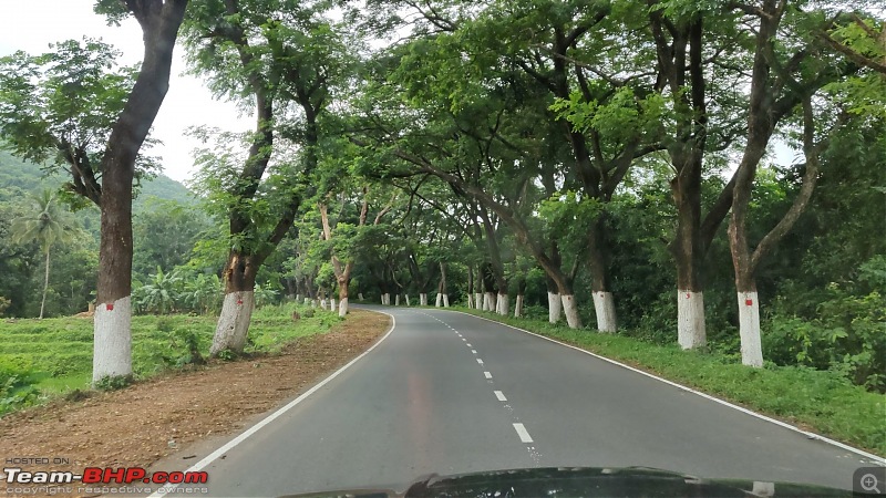 Wings of Desire  Exploring Odisha & Chhattisgarh in a Scorpio & Thar-trees.jpg