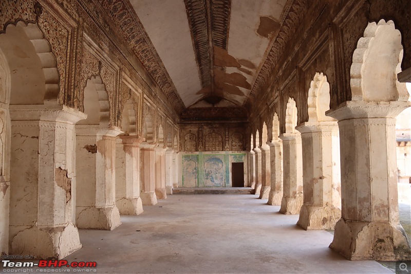 Bundelkhand Chronicles - Chasing History and Wildlife from Calcutta-ea5f7adcaa974d07a037fb8d7ed82e4c.jpeg