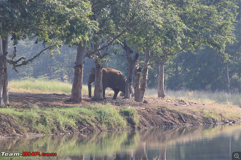 Bundelkhand Chronicles - Chasing History and Wildlife from Calcutta-93d00f19bfb4495c845b698457bb0f1a.jpeg