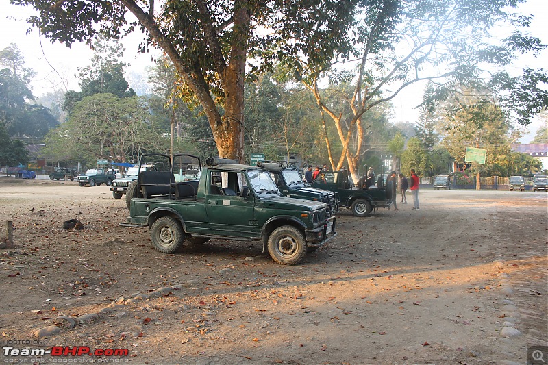A trip to Kaziranga National Park-208b2c74e924463da6f14836c355a65e.jpeg
