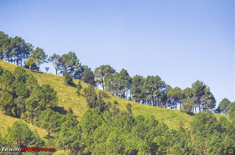 Road trip to Himachal-_dsc2049.jpg