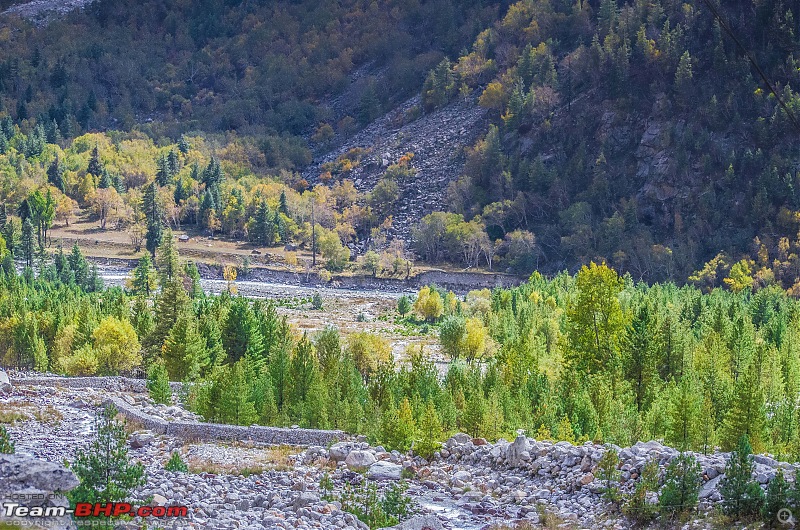 Road trip to Himachal-_dsc2226.jpg