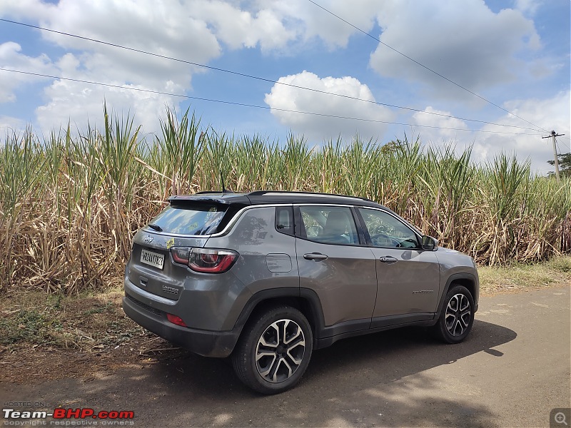 Bangalore to Rajasthan in a Jeep Compass-sugarcane-field.jpg