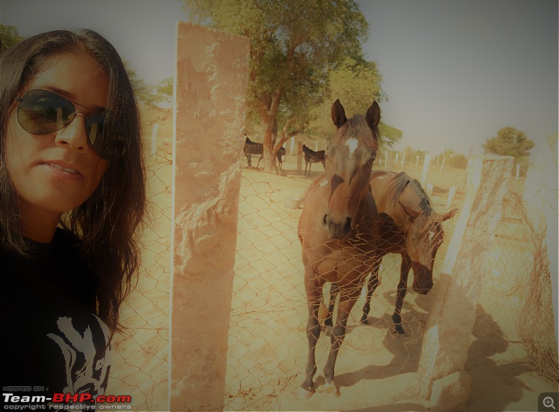 Bangalore to Rajasthan in a Jeep Compass-selfie-horse.jpg