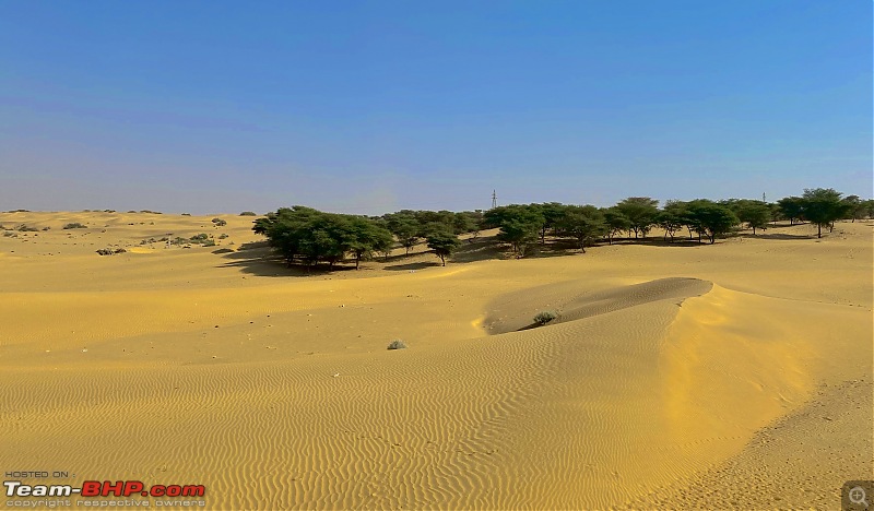 Jaisalmer - camping, dunes, history and more-fullsizerender-28.jpg