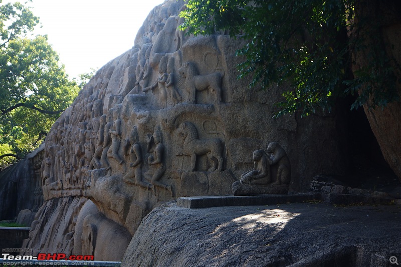 Eat, Pray, Laugh | Our Silver Anni-verse-ary / Annoy-versary Trip to Pondicherry & Mahabalipuram-monkeyfamily.jpg