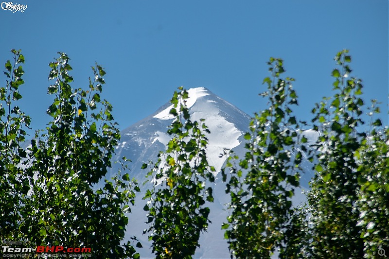 Safarnama | An unforgettable road-trip to Ladakh in a Tata Nexon-20.jpg