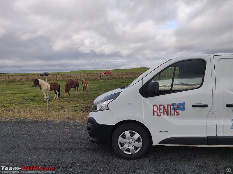 Camper Van road-trip around Iceland - A Photo Essay-3_3_1_horses.jpg