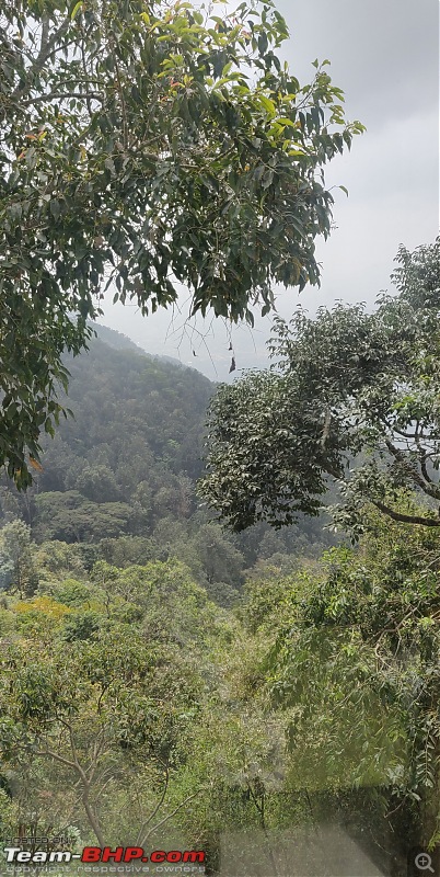 A just-in-time short trip with family to Yercaud, in my VW Taigun-srocca1.jpg