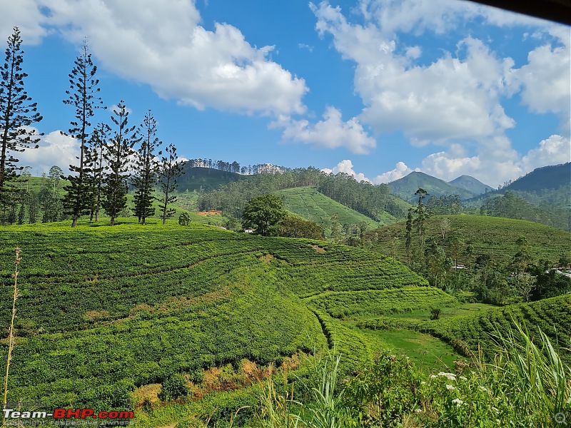 Backpacking Sri Lanka - A Covid Escapade!-20211222_134736.jpg